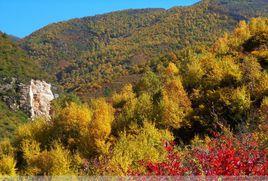 朔州紫荊山 朔州紫荊山