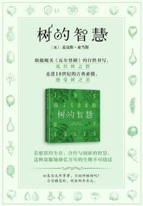 樹的智慧 樹的智慧