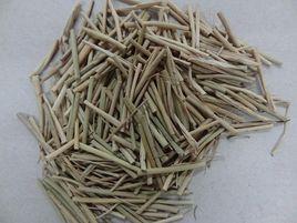 竹葉卷心 竹葉卷心