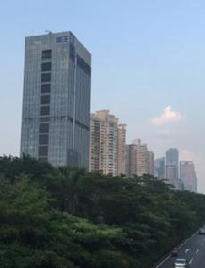 深圳市海王生物工程股份有限公司 深圳市海王生物工程股份有限公司