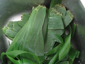 香糯豆沙粽 香糯豆沙粽