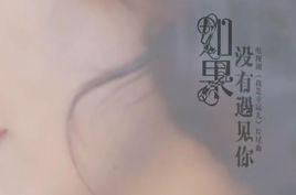 如果沒有遇見你[電視劇《我是幸運兒》片尾曲]