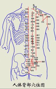 人體背部穴點陣圖
