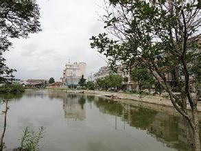 芝英街道 芝英街道