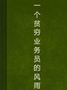 一個貧窮業務員的風雨 一個貧窮業務員的風雨