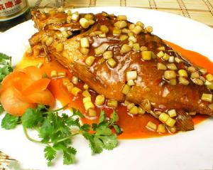 金原掛花添異彩 金原掛花添異彩