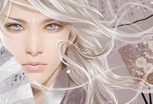 雲輕鴻[小說《傲風》中的人物]