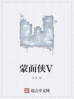 蒙面俠V 蒙面俠V