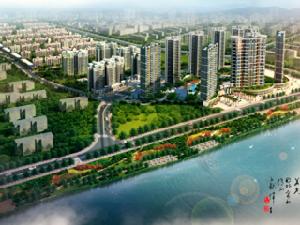 陽光金地 陽光金地