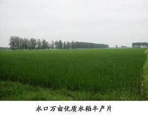 水口鎮[安徽省來安縣水口鎮]