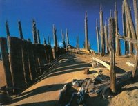 羅布泊雙魚玉佩事件