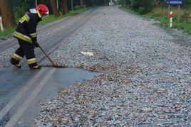 魚雨[自然現象]