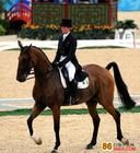 盛裝舞步騎術賽 盛裝舞步騎術賽