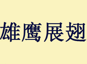 雄鷹展翅[漢語詞語]