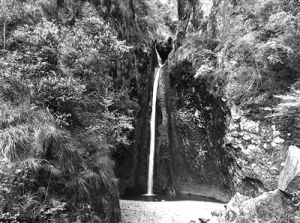 雁湖岡嶺古道 雁湖岡嶺古道