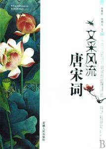 文採風流唐宋詞 文採風流唐宋詞