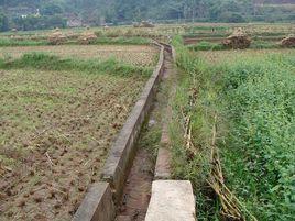 下街村[雲南祿豐縣廣通鎮下轄村]