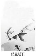 始皇陛下 始皇陛下