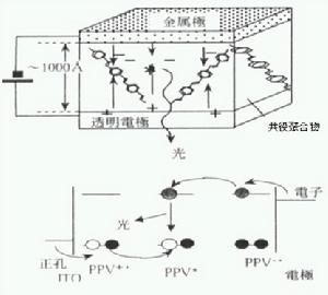 （圖）分子發光分析法