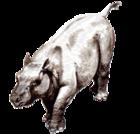 南美有蹄類動物