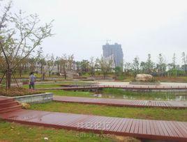 北岸公園 北岸公園