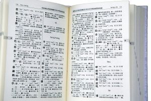 字典大全 字典大全