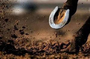 馬蹄鐵[裝訂在馬蹄上的鐵制蹄型物]