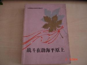 戰鬥在渤海平原上