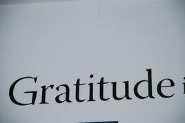 Gratitude[Jonah Matranga 演唱的歌曲]