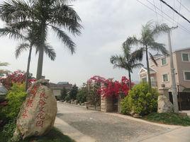 廈門鷹坑谷民俗文化園 廈門鷹坑谷民俗文化園
