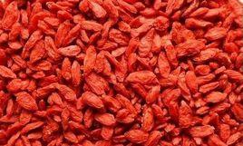 枸杞補腎生精丸 枸杞補腎生精丸