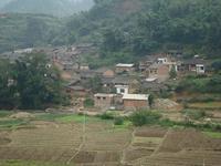 平圩自然村 平圩自然村