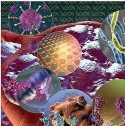 腫瘤標記物 腫瘤標記物