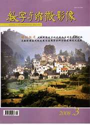 《數字與縮微影像》