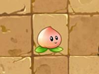 植物大戰殭屍2功夫世界