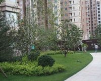 好景國際 好景國際