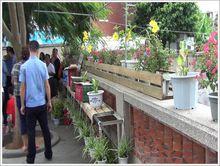 陳亞星在晃岩路47號公房圍牆上違規搭建鐵架