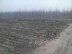 趙固堆村 趙固堆村