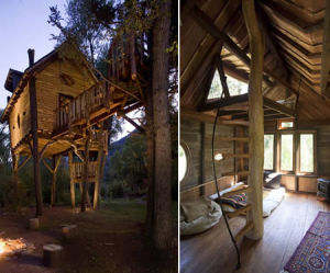 水晶河樹屋 水晶河樹屋