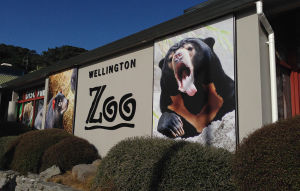 惠靈頓動物園 惠靈頓動物園