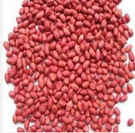 中國花生信息網