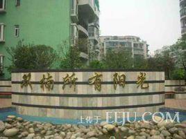 雙楠所有陽光 雙楠所有陽光