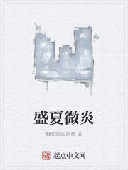 盛夏微炎 盛夏微炎