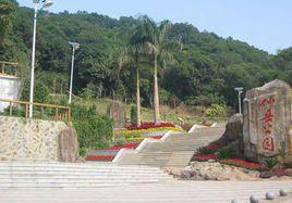 仙岳公園 仙岳公園