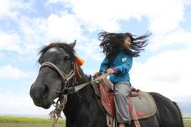 小驢佳佳 小驢佳佳