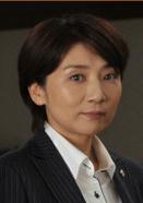 最後的證人[日本2015年上川隆也主演電視劇]