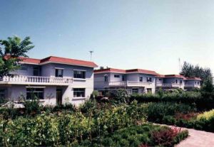 前大營村 前大營村