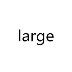 large[英文單詞]