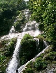 舜皇山國家森林公園