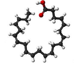 二十碳四烯酸 二十碳四烯酸